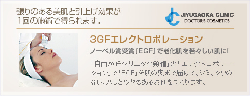 3GFエレクトロポレーション